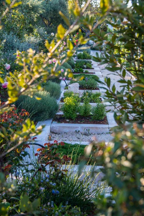 Tenuta Del Lauro لوكوروتوندو المظهر الخارجي الصورة