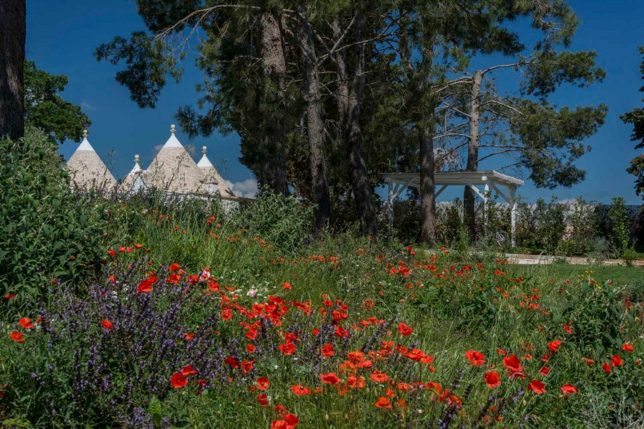 Tenuta Del Lauro لوكوروتوندو المظهر الخارجي الصورة