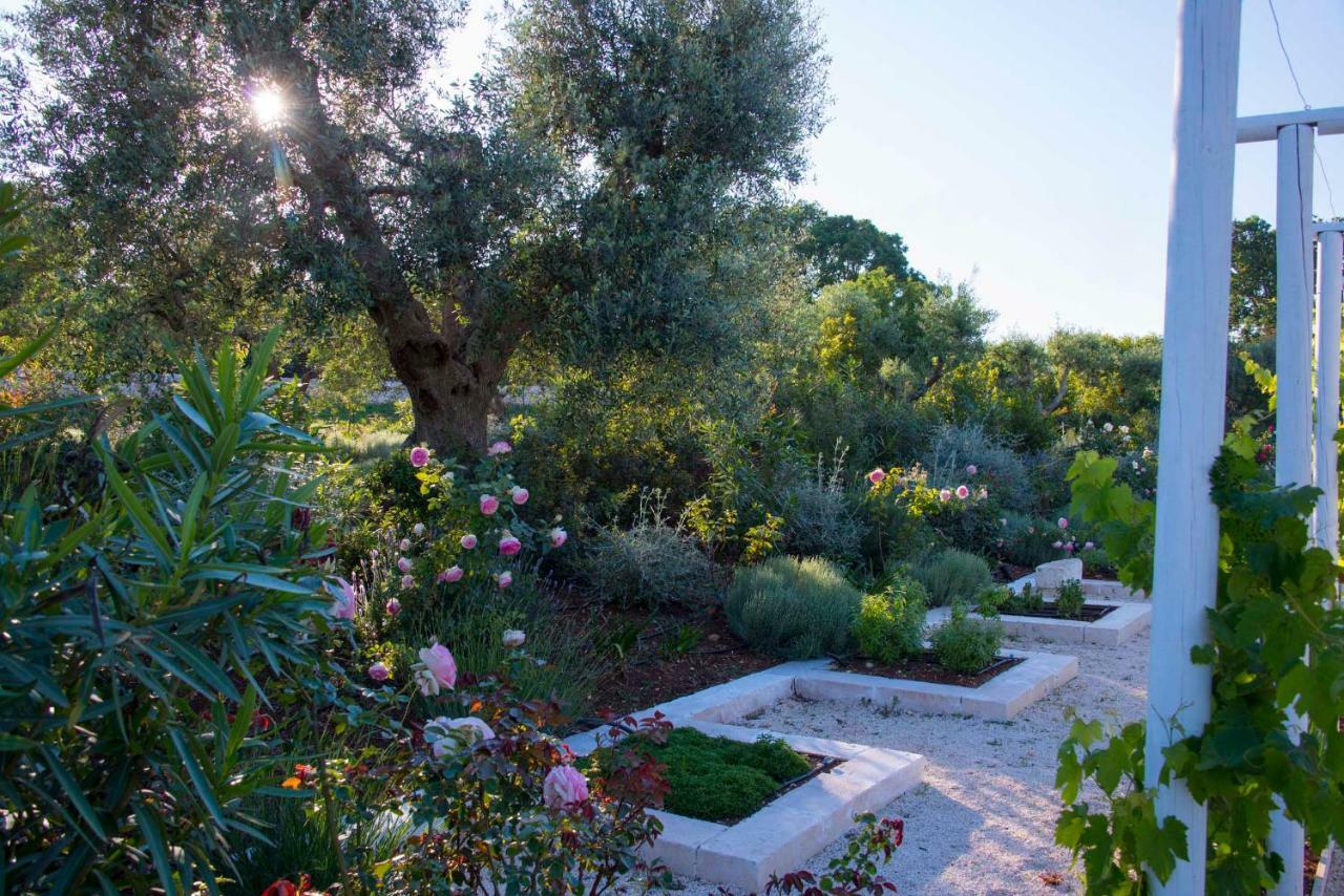 Tenuta Del Lauro لوكوروتوندو المظهر الخارجي الصورة